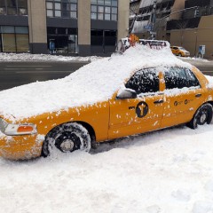 La Piel desnuda en la Nieve
